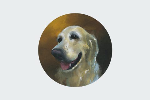 pet portrait hand painted