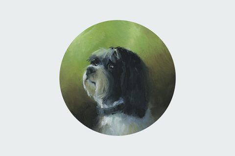 pet portrait hand painted shih tzu