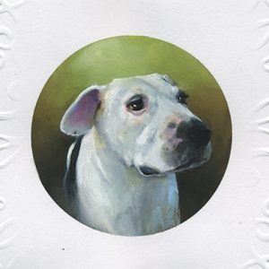 hand painted pet portrait pit bull mix