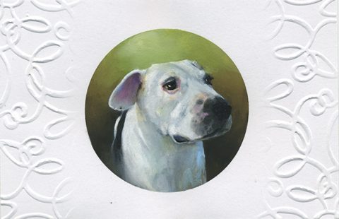 hand painted pet portrait pit bull mix