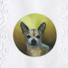 hand painted pet portrait of chihuahua