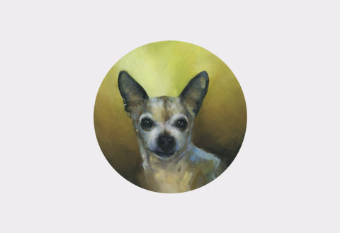 hand painted chihuahua owned by Michelle Kube
